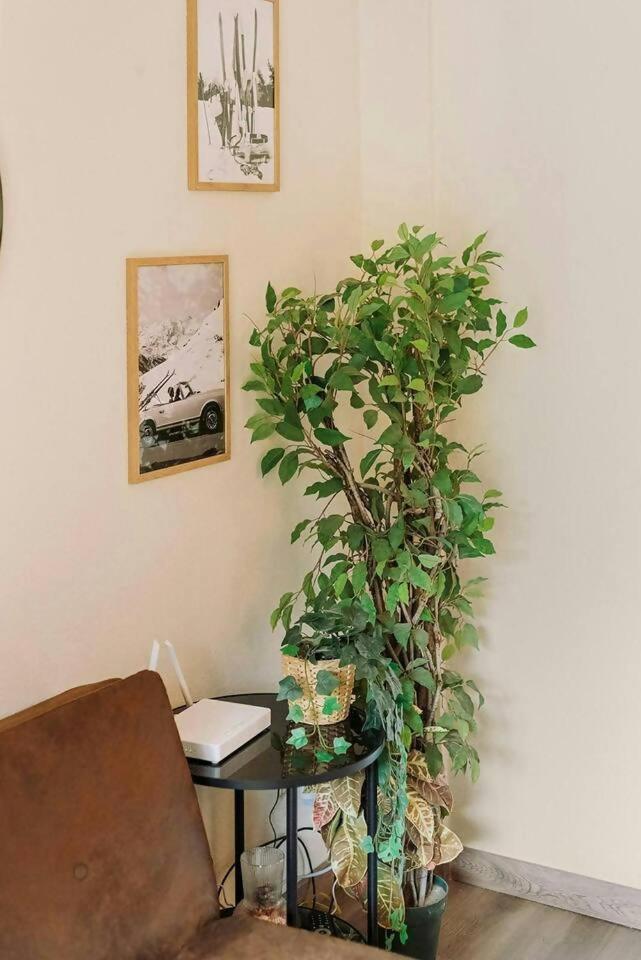 La Casita Del Arbol Apartment Sallent de Gállego Exterior foto